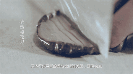 ������֮���˴�ʦ��ϰ���������п��Ⱥ��������ʳ��Ƭ