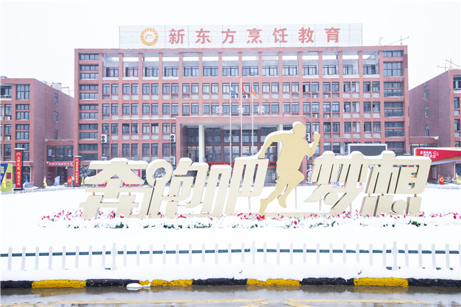 �����¶���2019���������������Ƚ�����