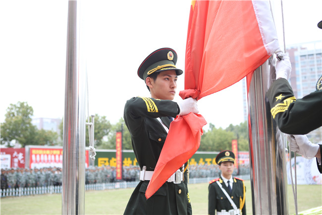 �����¶���2019�괺����ѵ�㱨����Բ�����У�