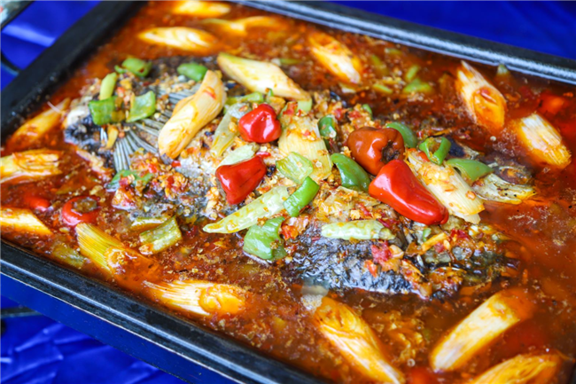 ѧ���㼼��ȥ����ȽϺã�