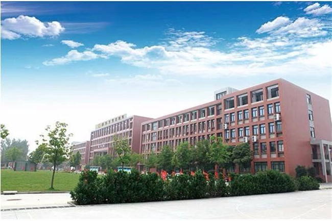 ΪʲôԽ��Խ��ĳ�����������ѡ����רҵ��