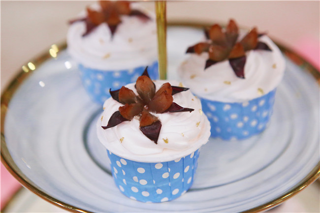 Ů����ѧ�������ȥ����ѧ��