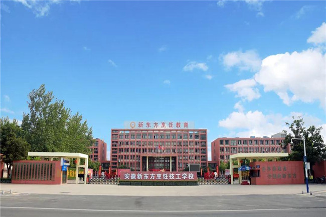 职业学校和技术学校有什么区别?专业解答来了
