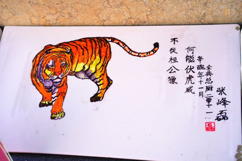 �������ѧϰ����������ѧϰ����������