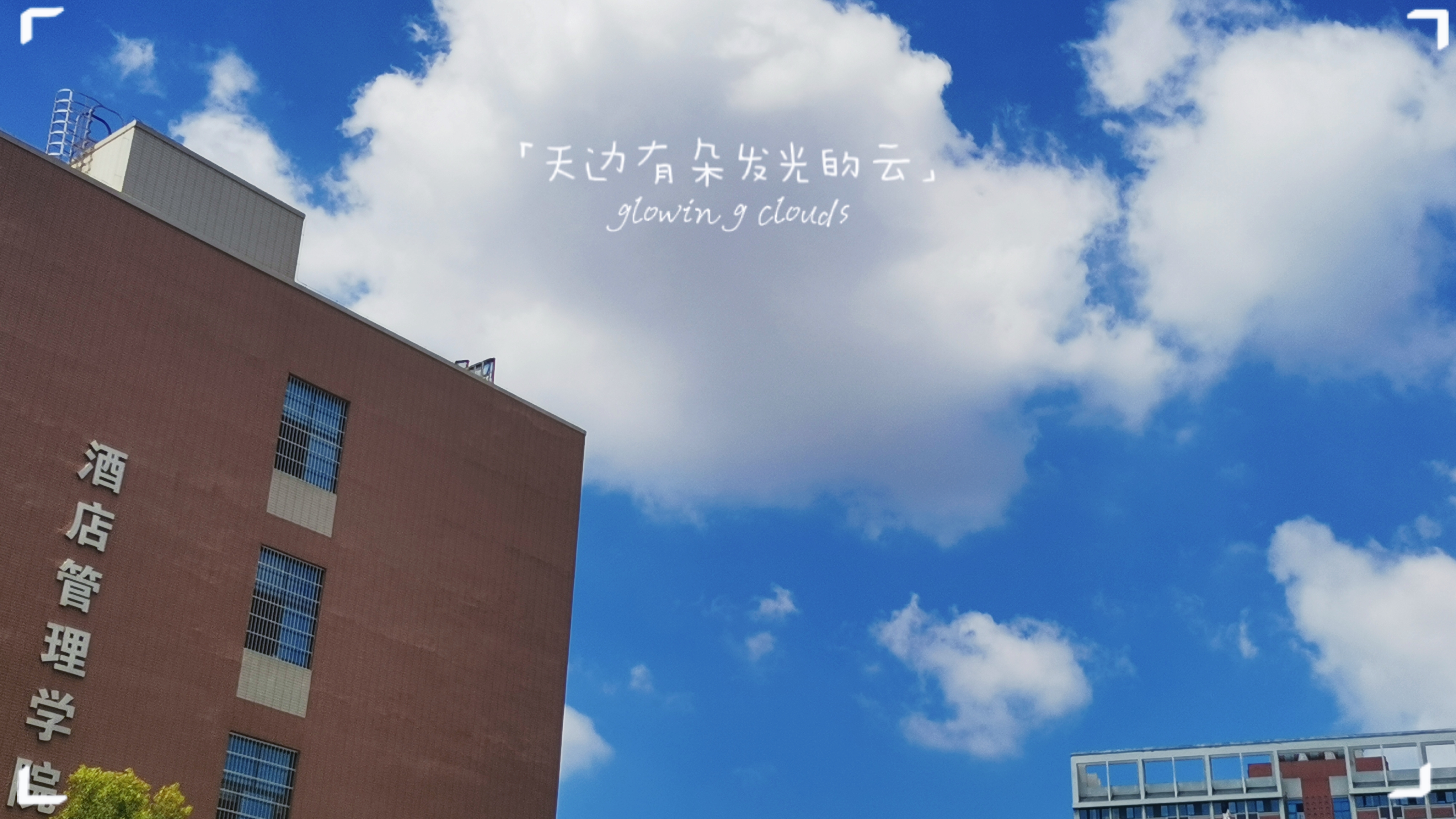 ޶У԰